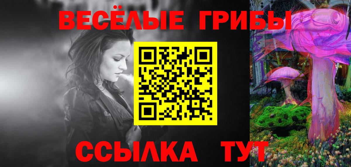 Гусев  даркнет сайт  Вход с VPN  Псилоцибиновые грибы Cubensis 